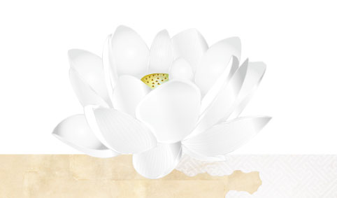 蓮花